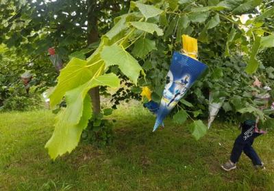 Unser Zuckertütenbaum